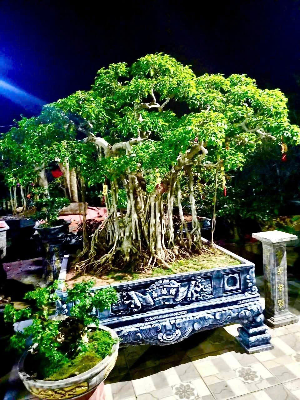 Hội CCB xã Đào Xá, Phú Thọ phát huy bản chất tốt đẹp 