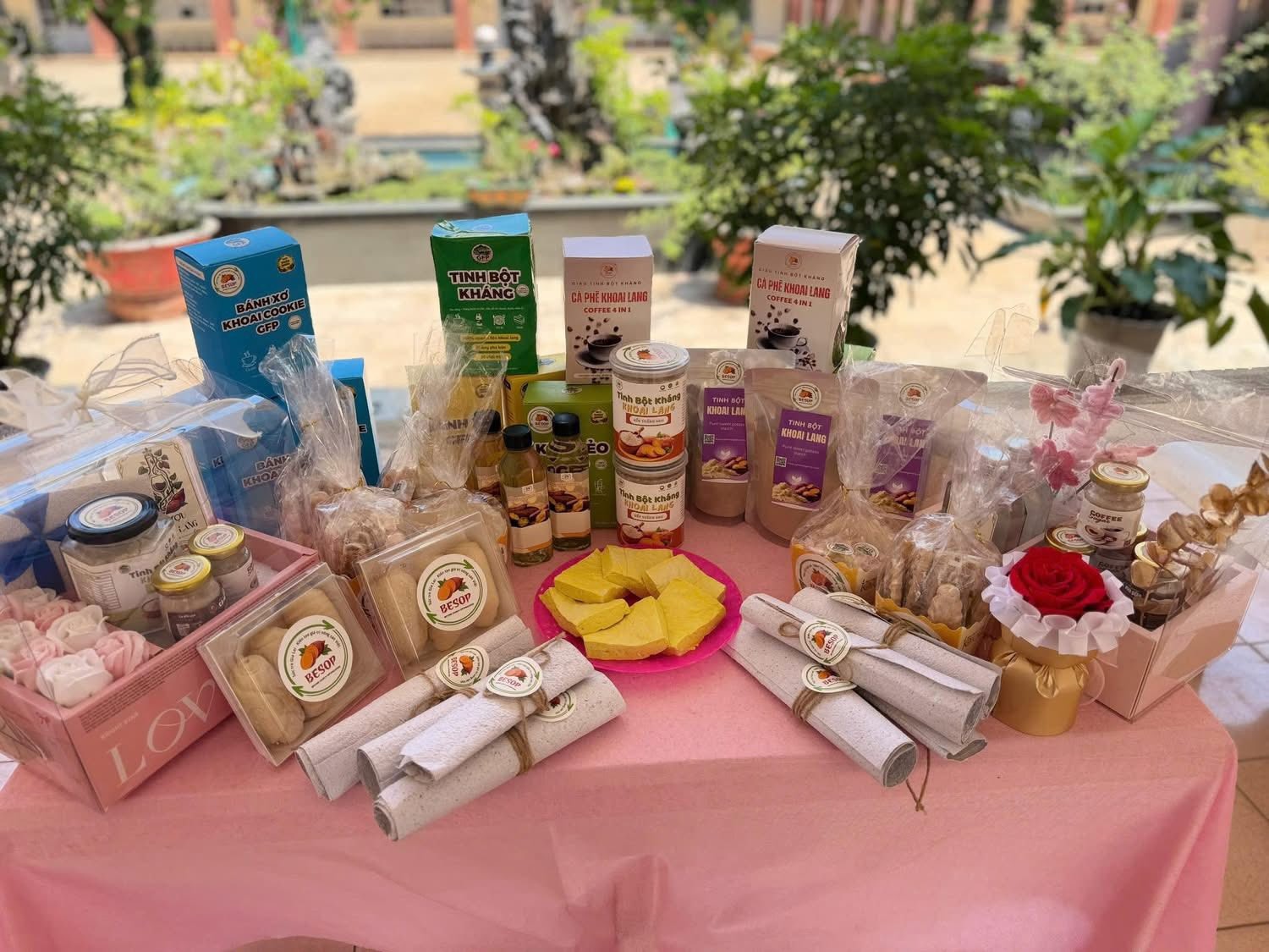 Dự án đã tập trung vào việc tối ưu hóa giá trị tinh bột từ khoai lang tại xã Phú Thiện.