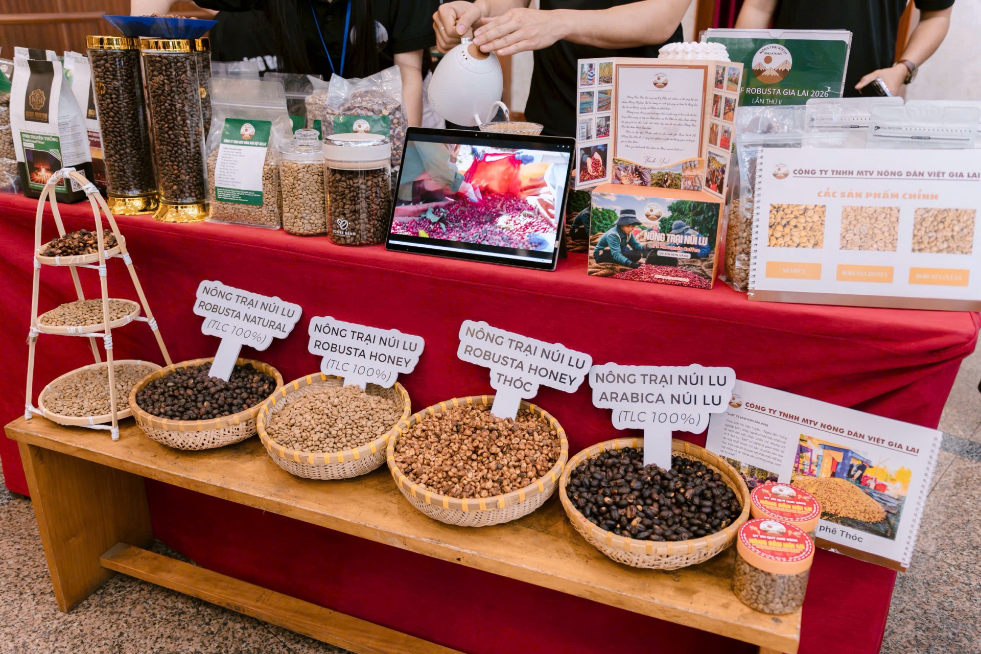 Cà phê Robusta chất lượng cao của Gia Lai đang dần ghi dấu ấn nhờ hương vị riêng biệt và chất lượng ổn định.