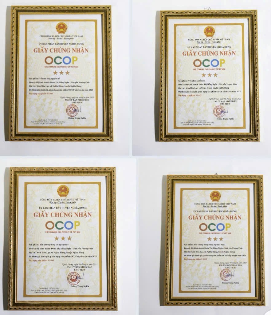 Nhà yến Vượng Phát (Ninh Bình): Bền bỉ một lối đi riêng