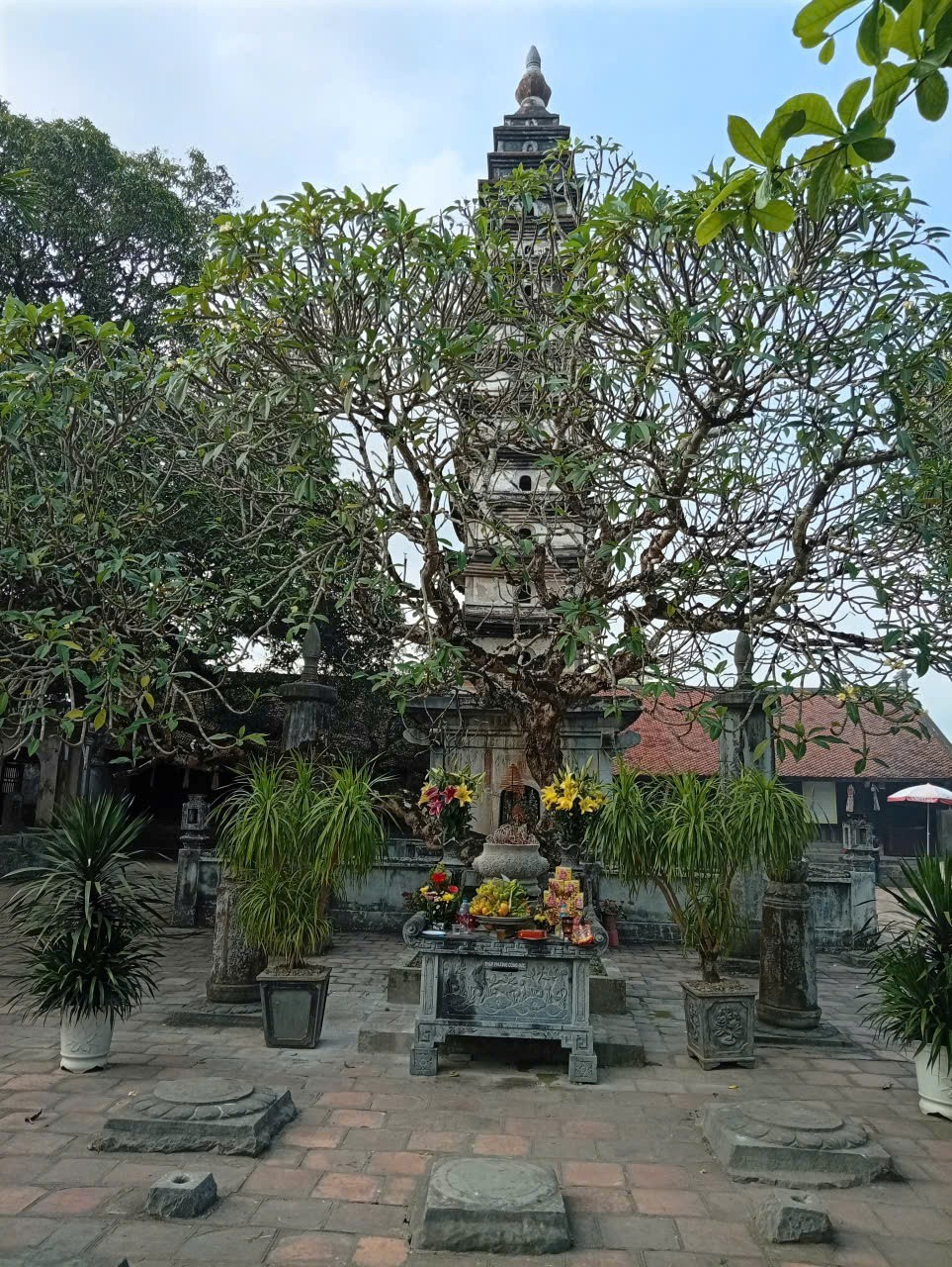 Tháp Phổ Minh được xây dựng vào năm 1305 dưới thời nhà Trần (ảnh: Đinh Khương)