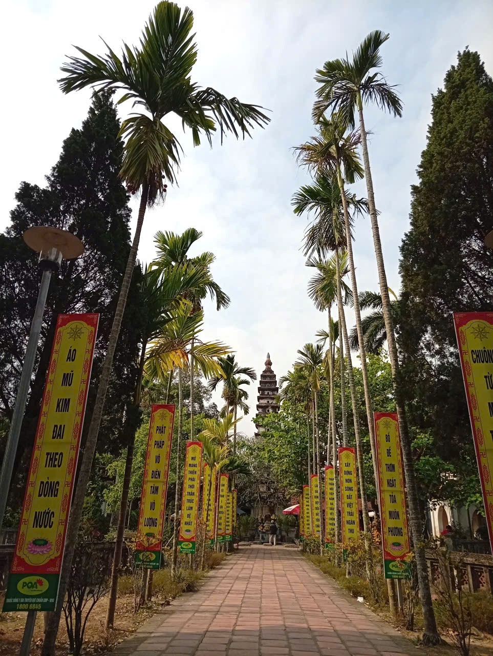 Lối vào chùa giữa những hàng cau xanh mát (ảnh: Đinh Khương)