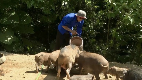 hieu qua tu mo hinh kinh te cua thanh nien bru van kieu