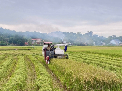 Ngọc Liên tăng tốc xây dựng nông thôn mới nhờ thu nhập gần 70 triệu đồng/năm