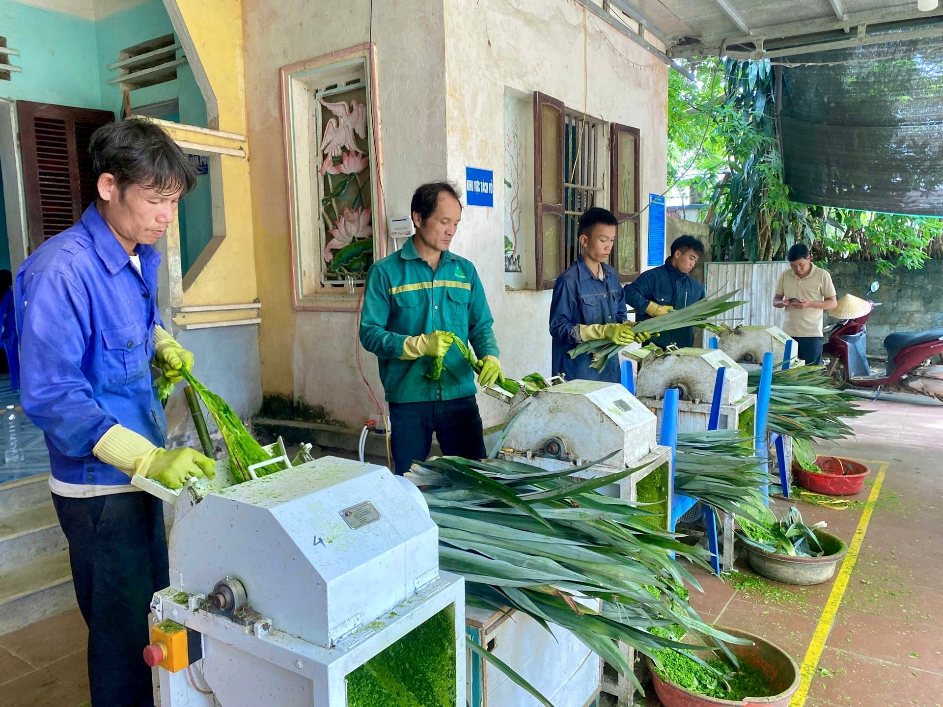 Ngọc Liên tăng tốc xây dựng nông thôn mới nhờ thu nhập gần 70 triệu đồng/năm