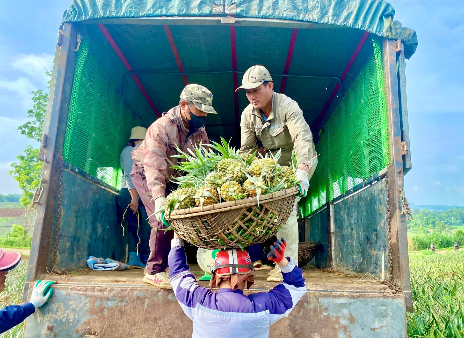 Ngọc Liên tăng tốc xây dựng nông thôn mới nhờ thu nhập gần 70 triệu đồng/năm