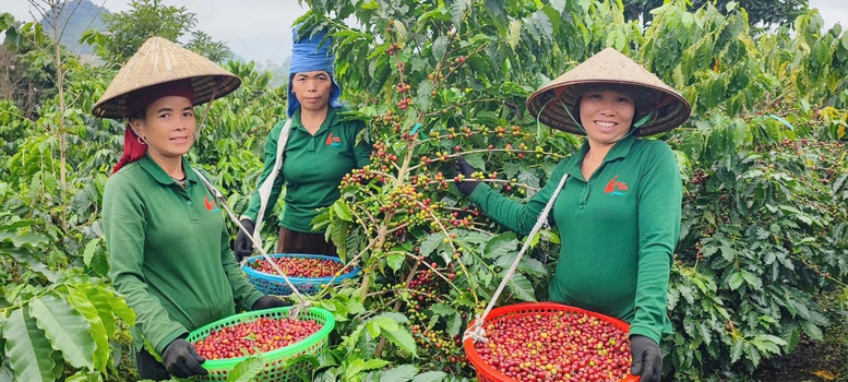 Nghị quyết 79 qua góc nhìn của doanh nghiệp tư nhân: Đồng hành để vươn xa Nghị quyết 79 qua góc nhìn của doanh nghiệp tư nhân: Đồng hành để vươn xa