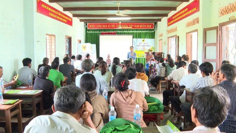 hieu qua tu mo hinh canh tac lua hanh trinh xanh