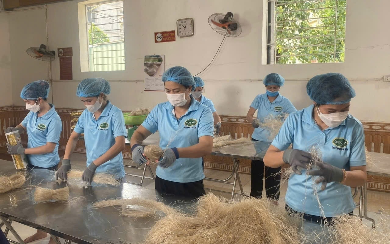 Nông sản Việt 2026: Hội tụ tinh hoa ba miền tại Hà Nội