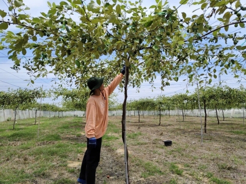 Lâm Đồng phân loại 103 xã xây dựng nông thôn mới giai đoạn 2026 - 2030