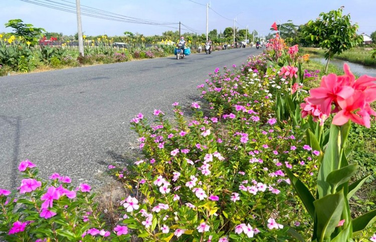 VĨNH LONG: Kiểm tra tiến độ xây dựng xã nông thôn mới An Hiệp VĨNH LONG: Kiểm tra tiến độ xây dựng xã nông thôn mới An Hiệp