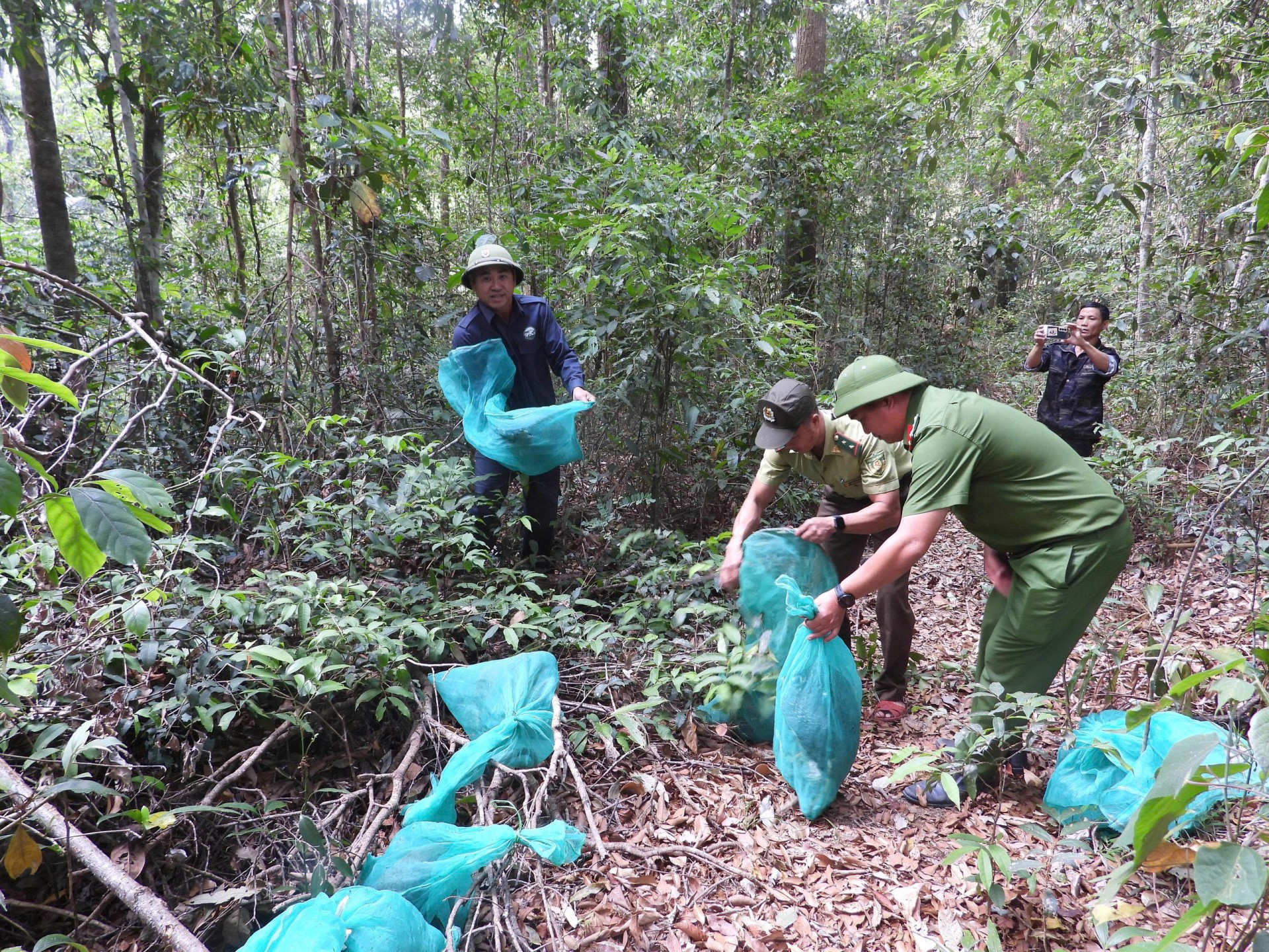 Cơ quan chức năng phối hợp thả nhiều động vật quý hiếm về rừng. Ảnh: ĐVCC