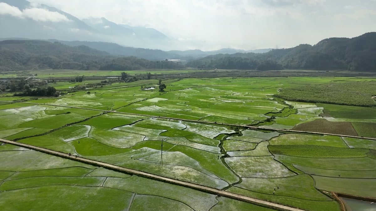 Tam nông” tạo lực đẩy cho Lai Châu bứt phá