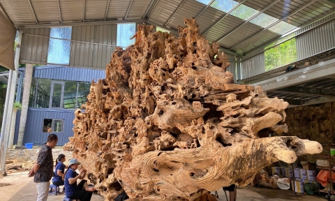 Nghệ nhân Chu Văn Ân và kiệt tác “Cội nguồn”: Đánh thức giá trị gỗ quý ngàn năm