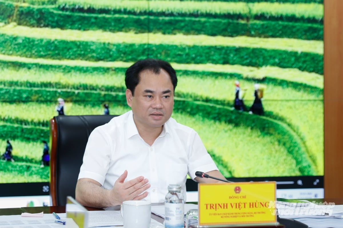 Bộ trưởng Trịnh Việt Hùng nhấn mạnh yêu cầu then chốt là tiến độ phải đi liền với chất lượng. Ảnh: Khương Trung.