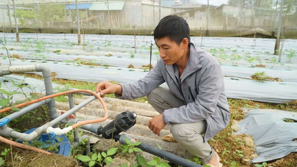 Tam nông” tạo lực đẩy cho Lai Châu bứt phá