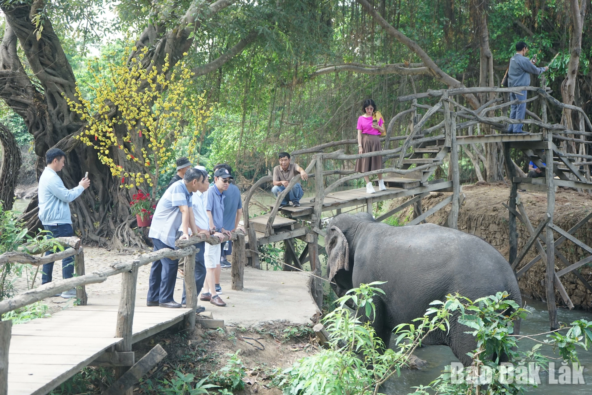 Đắk Lắk gắn du lịch thân thiện với bảo tồn giá trị núi rừng