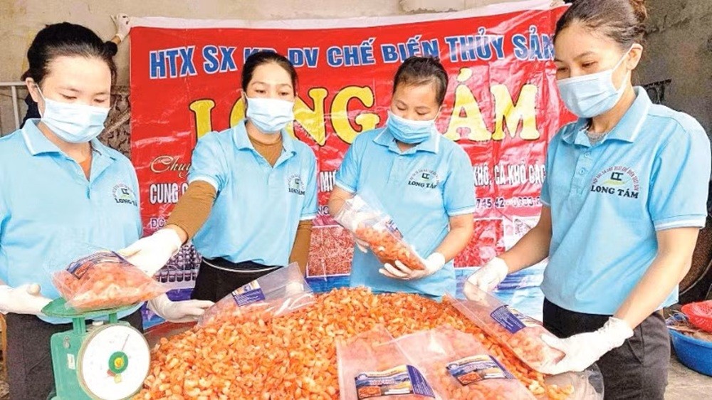 Đóng gói sản phẩm tôm biển sấy khô tại Hợp tác xã sản xuất, kinh doanh, dịch vụ chế biến thủy sản Long Tám. Đóng gói sản phẩm tôm biển sấy khô tại Hợp tác xã sản xuất, kinh doanh, dịch vụ chế biến thủy sản Long Tám.