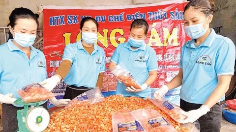 giu huong vi bien nang tam gia tri lang nghe