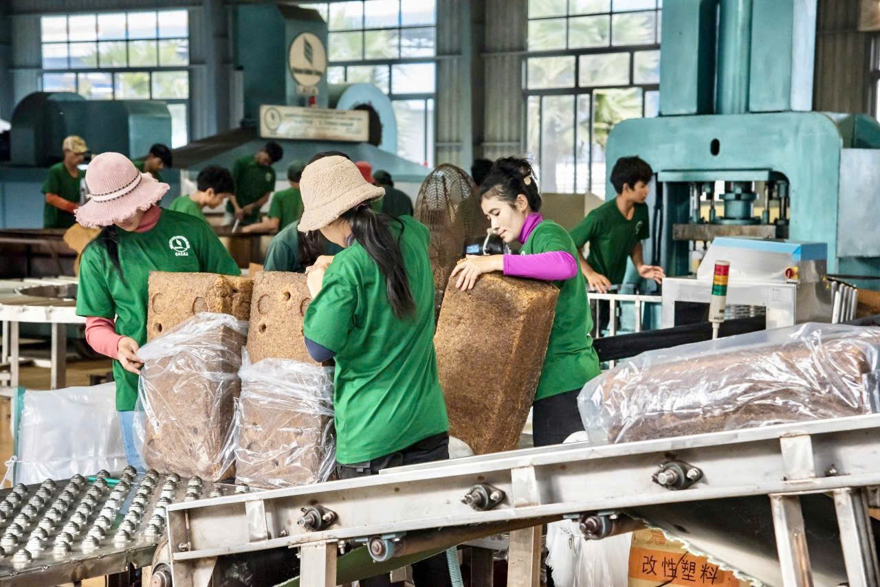 Toàn tỉnh có 1.123 doanh nghiệp thành lập mới, tổng vốn hơn 12.368 tỷ đồng.