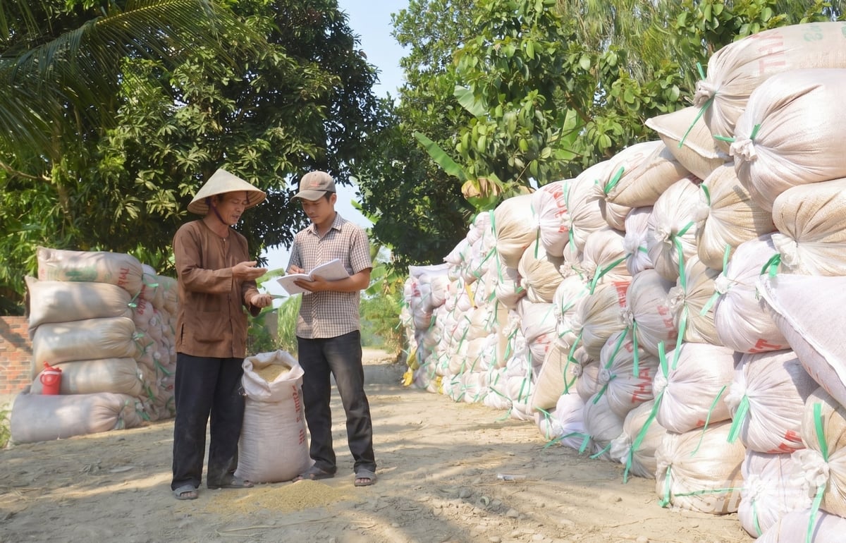 An Giang: Tháo gỡ khó khăn, chuẩn bị tốt cho vụ hè thu 2026