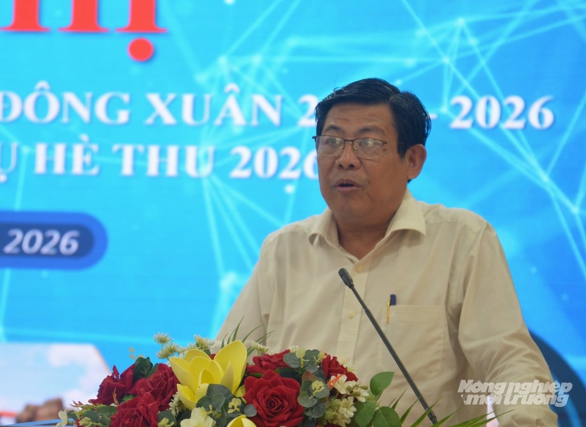 An Giang: Tháo gỡ khó khăn, chuẩn bị tốt cho vụ hè thu 2026