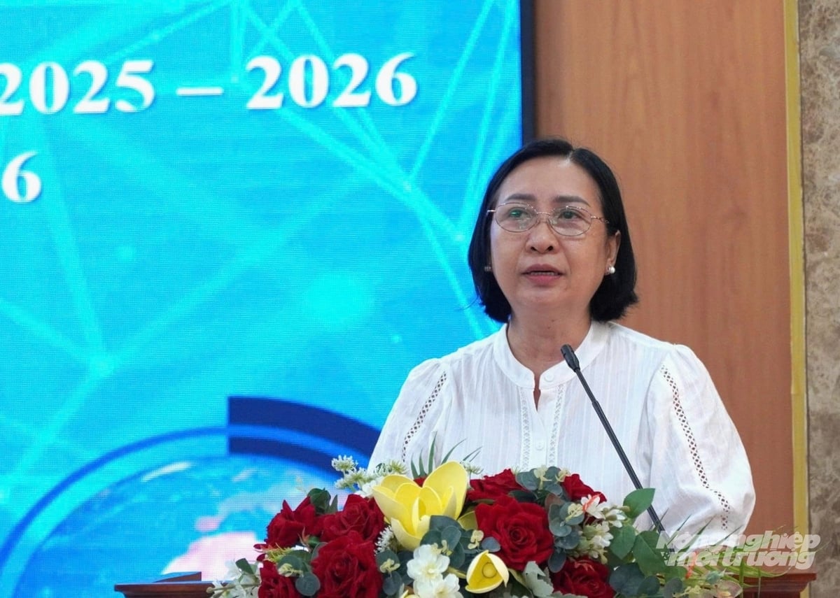 An Giang: Tháo gỡ khó khăn, chuẩn bị tốt cho vụ hè thu 2026