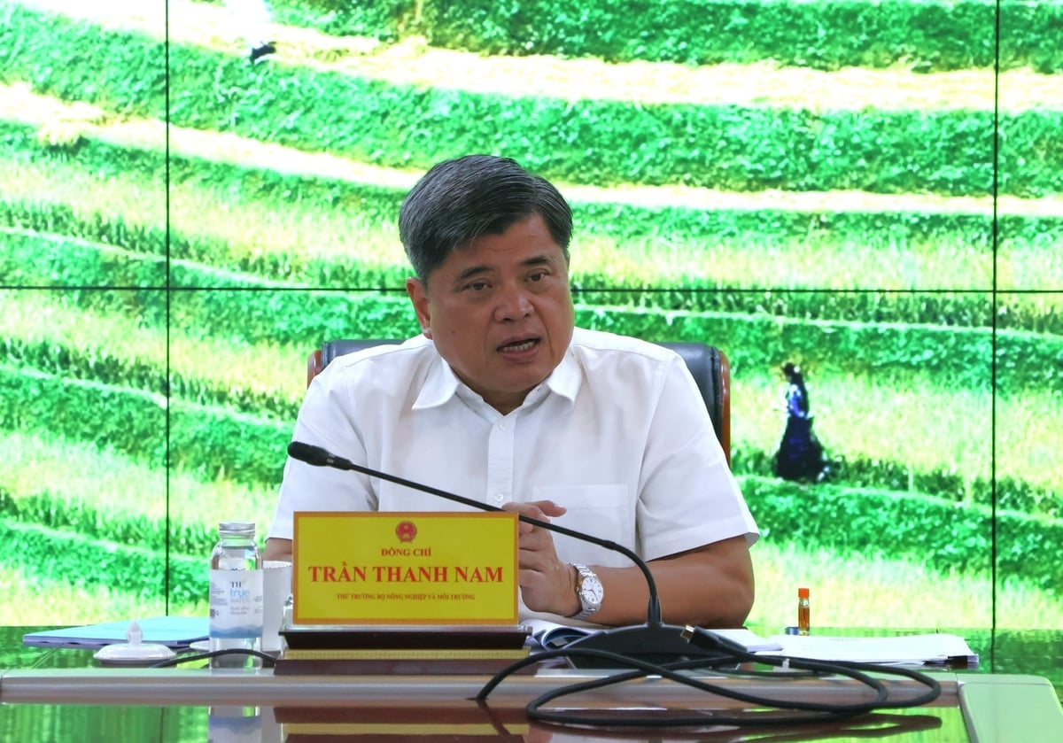 Phát triển kinh tế tuần hoàn cần thúc đẩy cơ chế hợp tác công -  tư