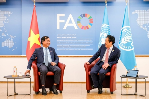 Bộ Nông nghiệp và Môi trường đề xuất 4 trọng tâm hợp tác với FAO