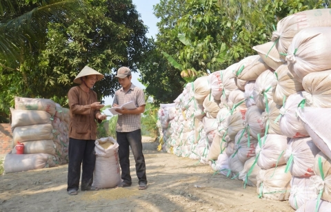 an giang thao go kho khan chuan bi tot cho vu he thu 2026