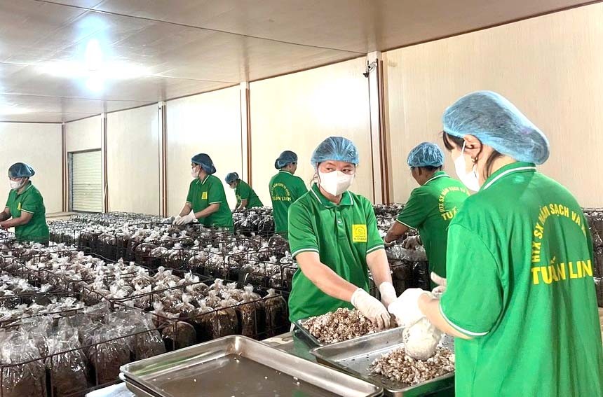 Quảng Trị hiện có nhiều chính sách hỗ trợ cho các doanh nghiệp thúc đẩy mở  rộng thị trường, nâng cao năng lực cạnh tranh