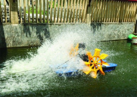 may guong thien long hp su lua chon cua nuoi trong thuy san thong minh
