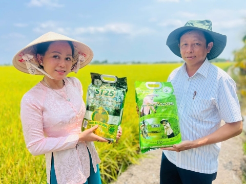 hon 400 gian hang tai tuan le va cuoc thi gao ngon dbscl lan i o ca mau