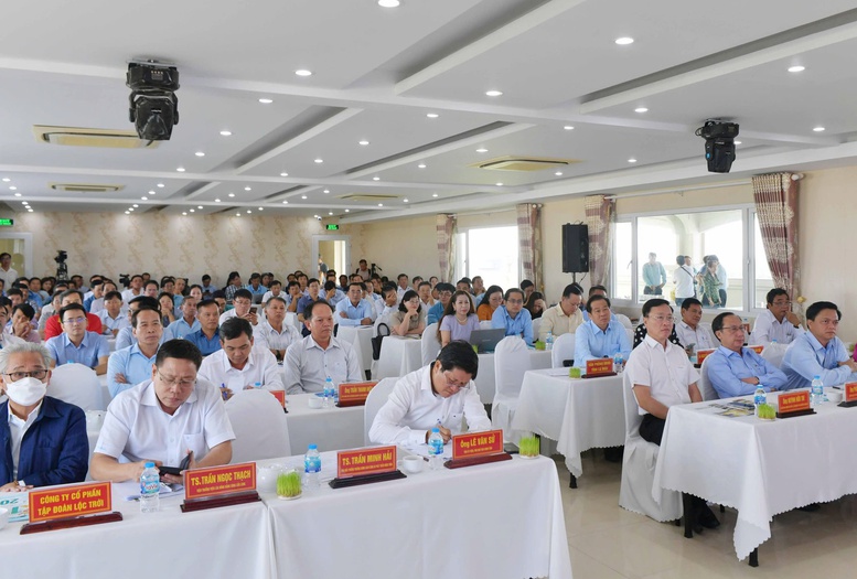 Cà Mau tăng cường liên kết, nâng cao giá trị chuỗi lúa gạo