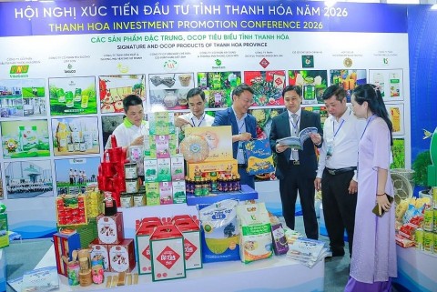 ocop mien nui nhieu tiem nang can danh thuc