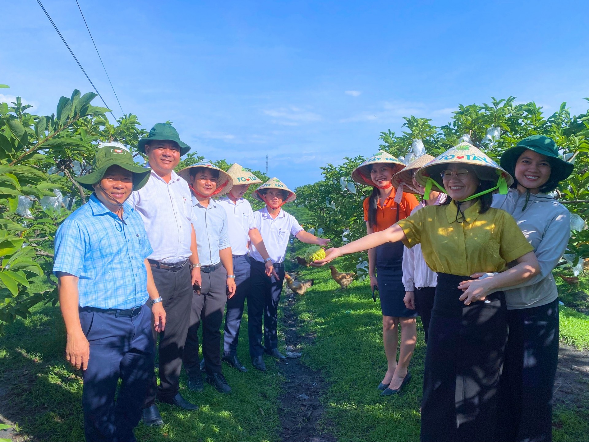 Gỡ khó chuyển đổi số cho hợp tác xã nông nghiệp