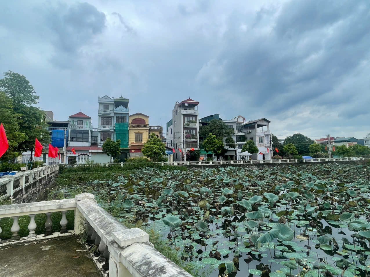 Đầm sen làng Lờ