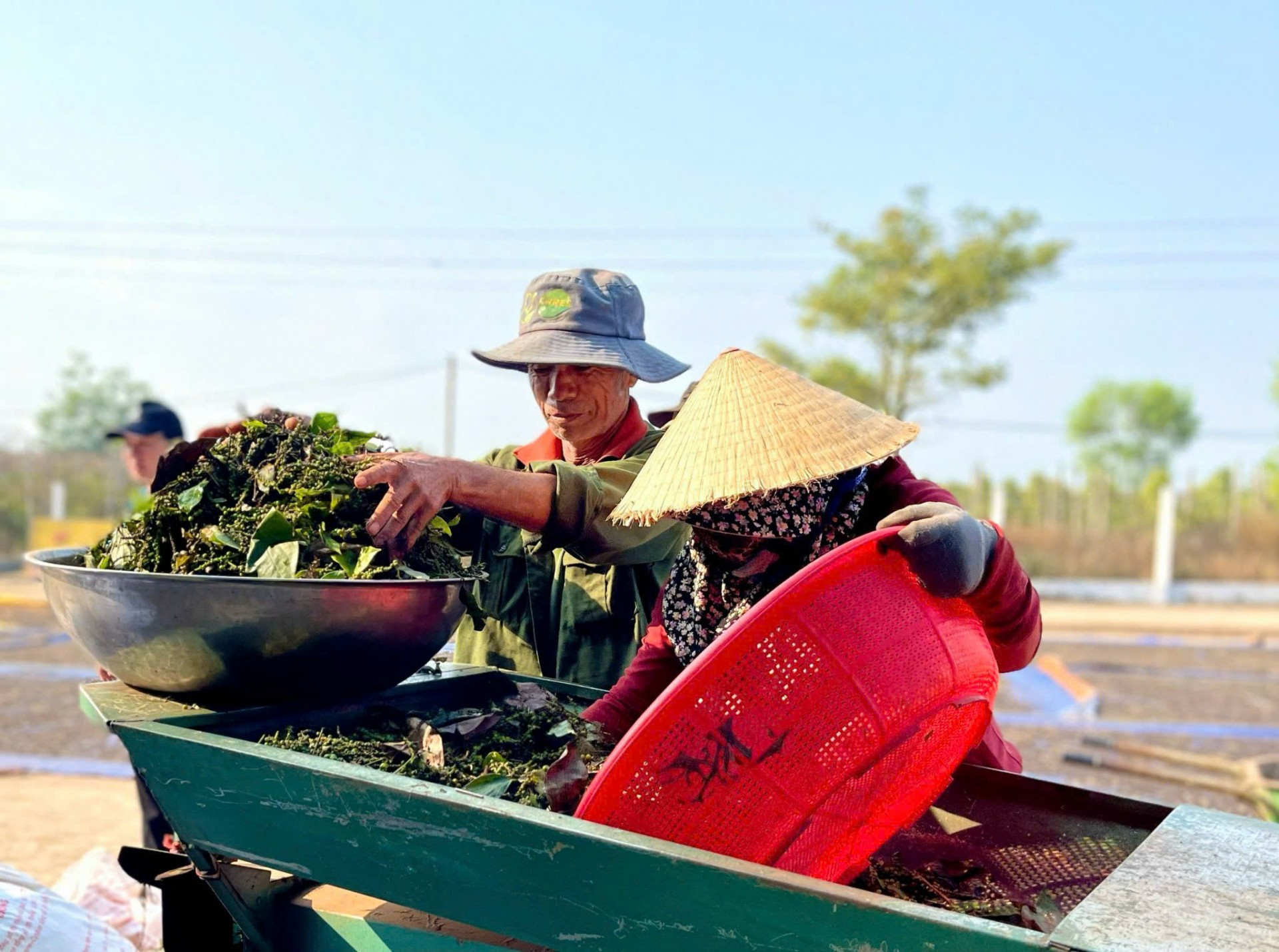 Từ “thủ phủ” hồ tiêu đến OCOP 5 sao
