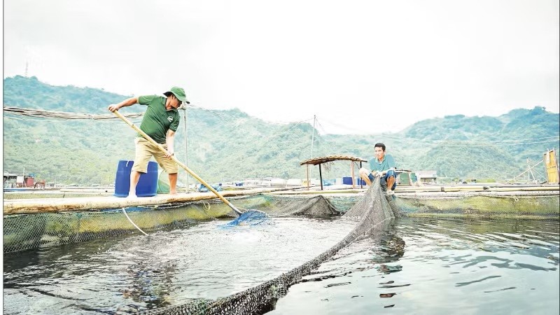 Động lực mới cho tăng trưởng ngành thủy sản