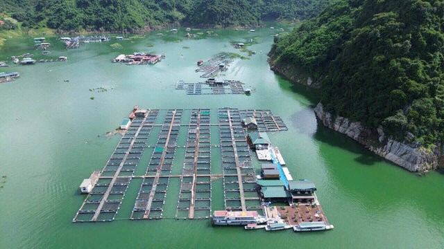 Động lực mới cho tăng trưởng ngành thủy sản