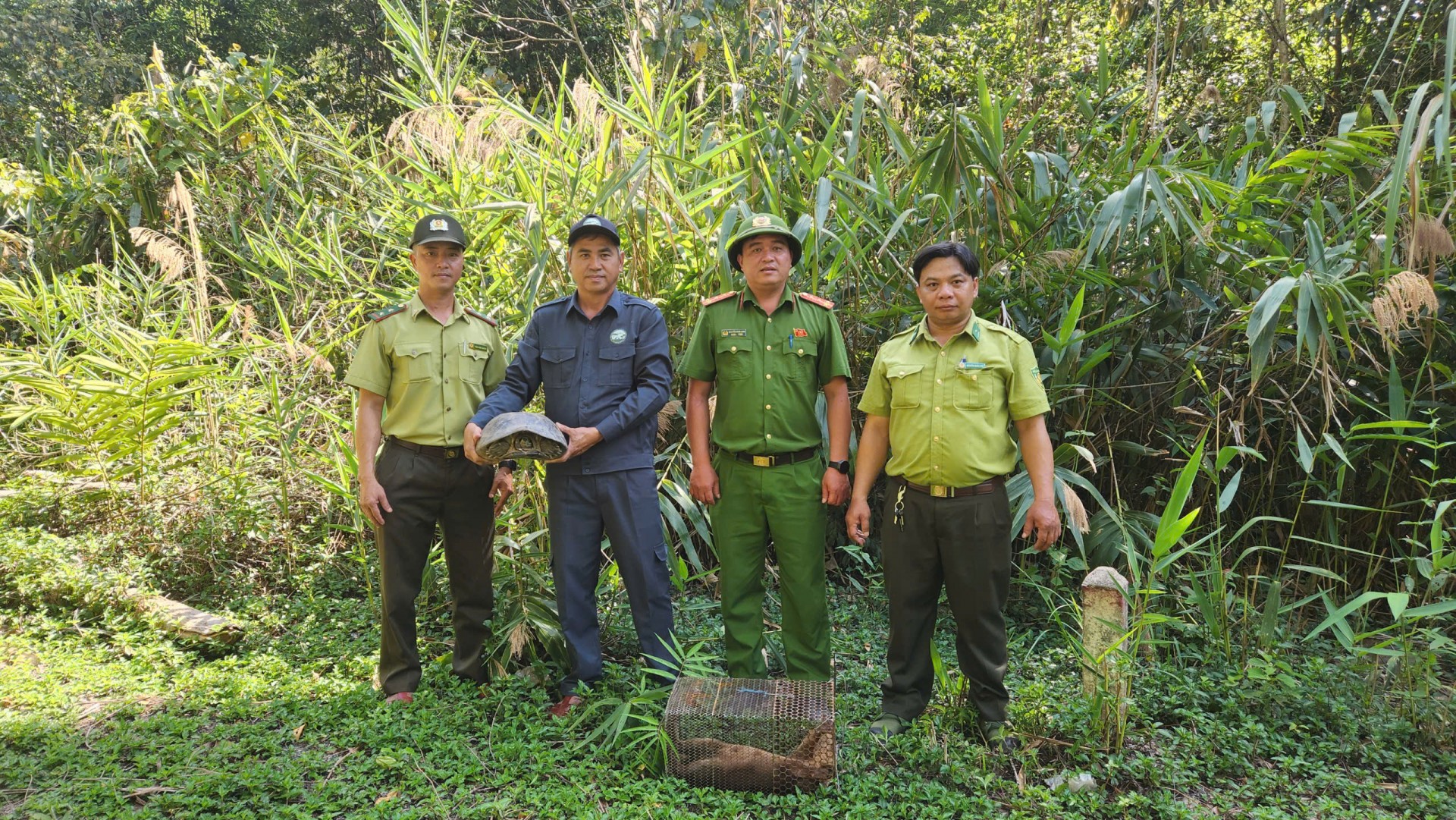 Gia Lai: Tái thả 8 cá thể động vật hoang dã quý hiếm về môi trường tự nhiên