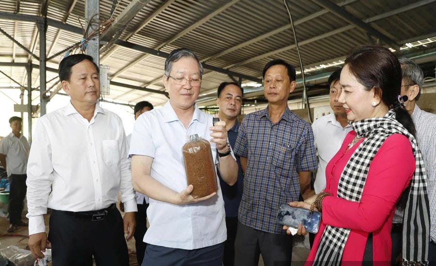 Nông dân Việt Nam chung sức dựng xây nông thôn mới hiện đại Nông dân Việt Nam chung sức dựng xây nông thôn mới hiện đại