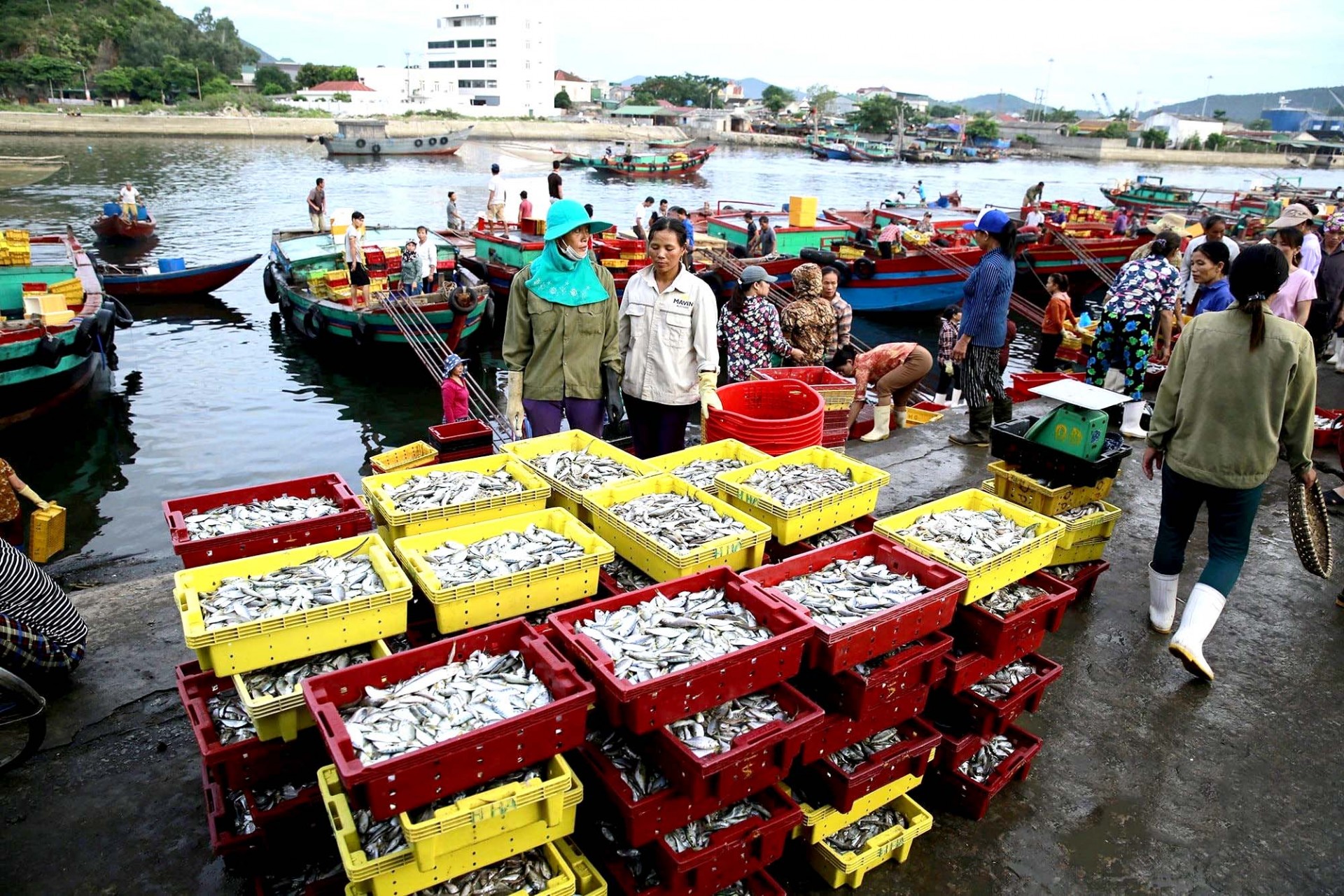 Đa dạng sản phẩm công nghiệp nông thôn tiêu biểu, OCOP sẽ được bày bán tại Hội chợ. Ảnh: PV