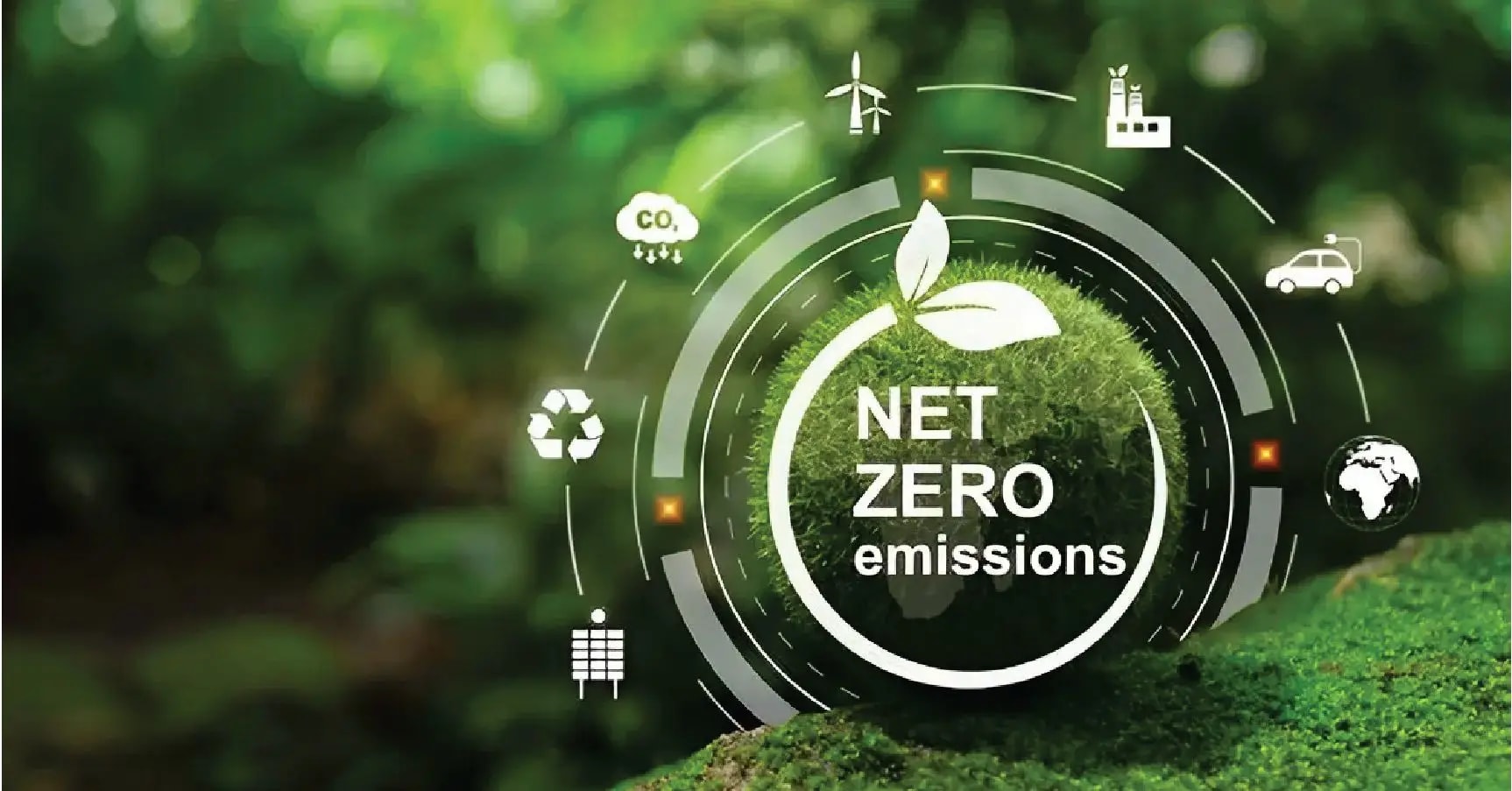 Thị trường tín chỉ carbon: “Vàng xanh” cho hành trình Net Zero của Thủ đô