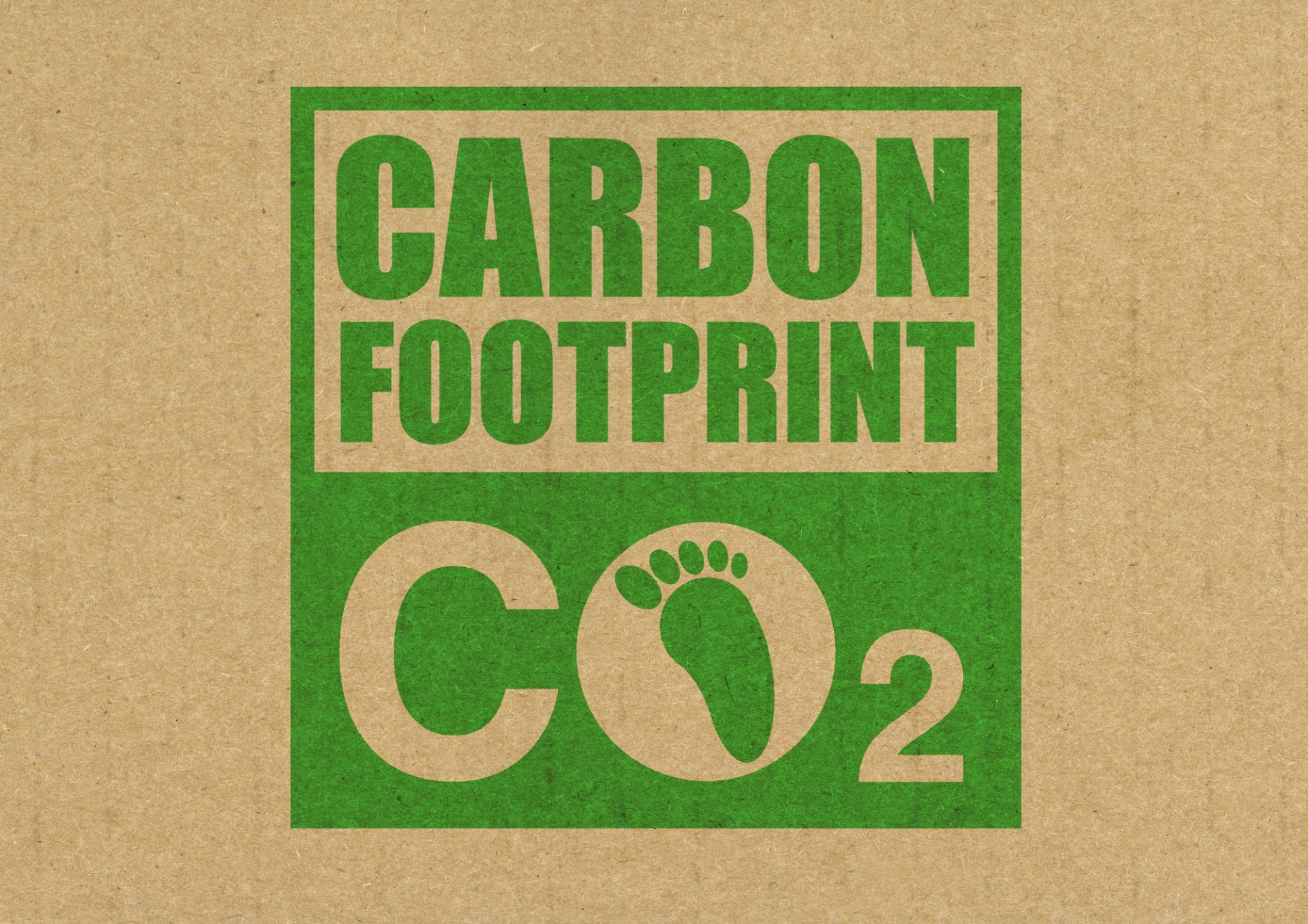 Thị trường tín chỉ carbon: “Vàng xanh” cho hành trình Net Zero của Thủ đô