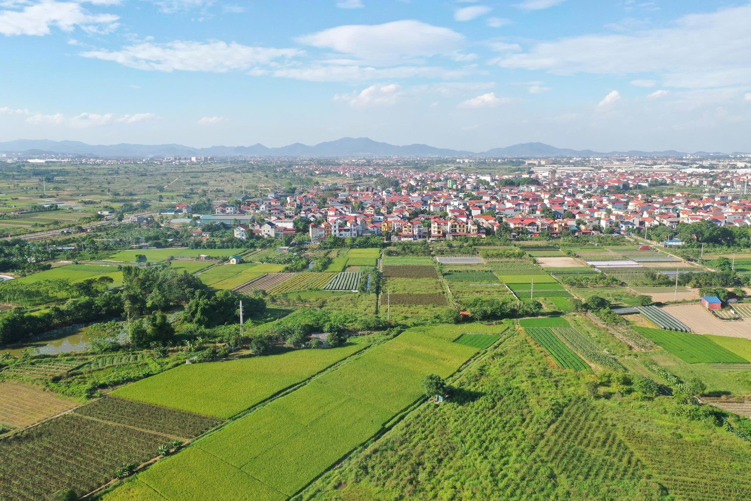 Thị trường tín chỉ carbon: “Vàng xanh” cho hành trình Net Zero của Thủ đô