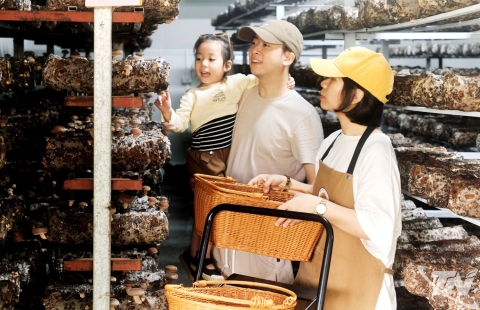 Nâng cao sức cạnh tranh cho sản phẩm OCOP