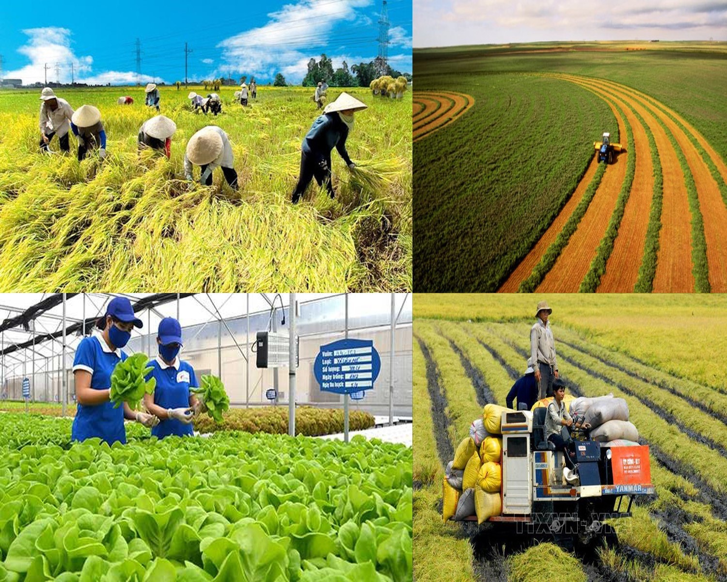 Thúc đẩy phát triển nông nghiệp, nông dân, nông thôn bền vữngthói quen phân loại rác, bảo vệ môi trường.