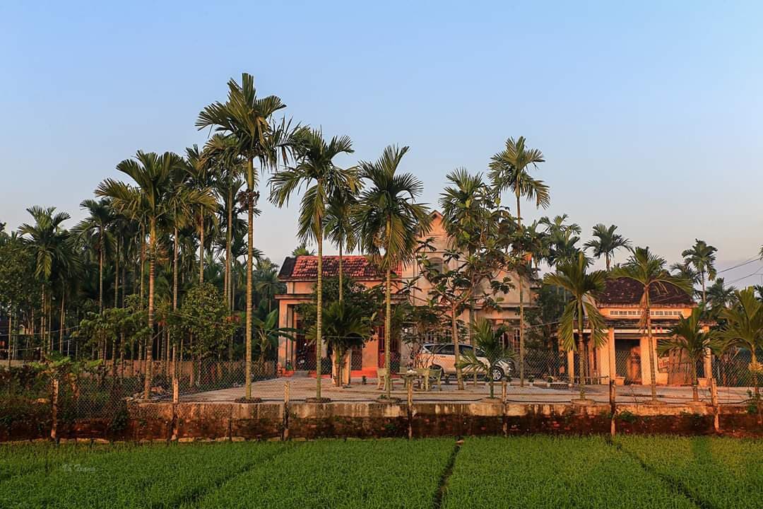 Hương cau Hương cau