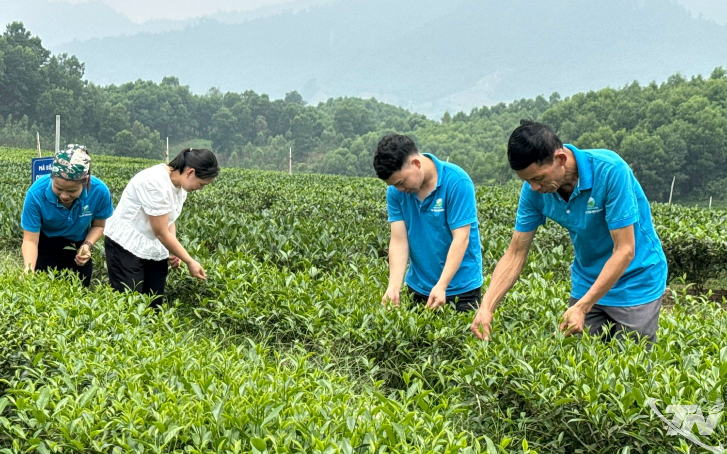 Phát huy nội lực, nâng tầm nông thôn mới